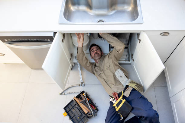 Best Sprinkler Systems  in St Petersburg, FL