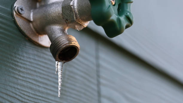 Best Affordable Plumber Near Me  in St Petersburg, FL