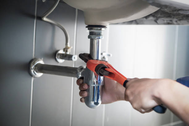 Best Local Plumber Services  in St Petersburg, FL